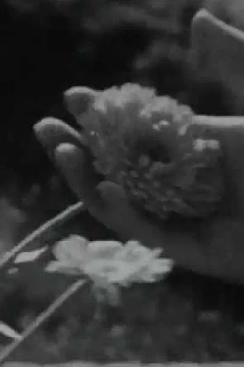 Cántico movie poster