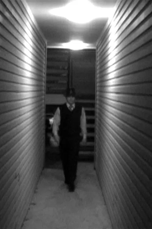 A Walking Shadow movie poster