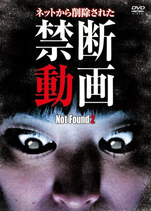 Not Found 2 movie poster