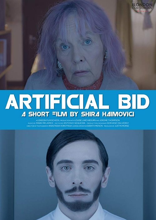 Poster do filme Artificial Bid