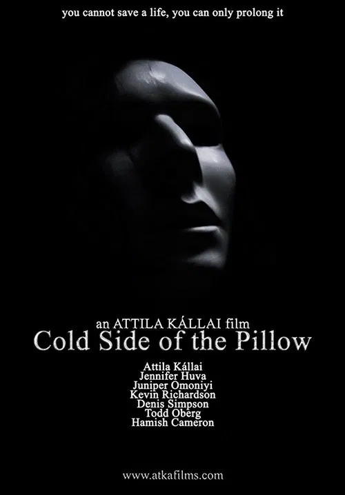 Cold Side of the Pillow movie poster