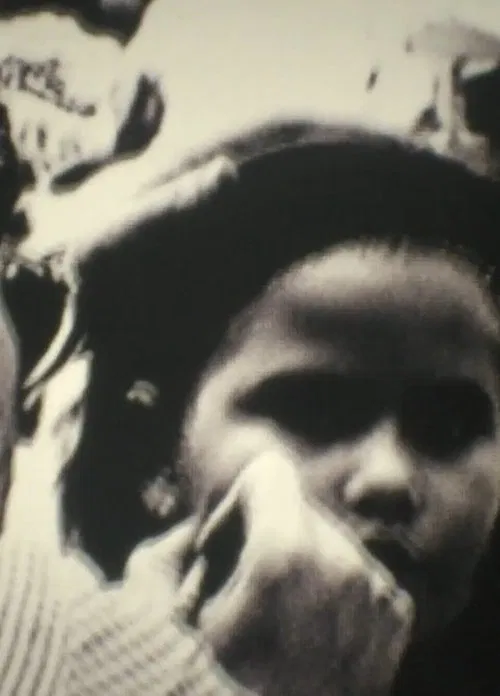 Beluga Crash Blues movie poster