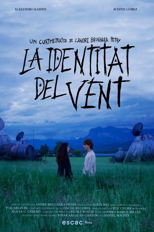 La identitat del vent movie poster