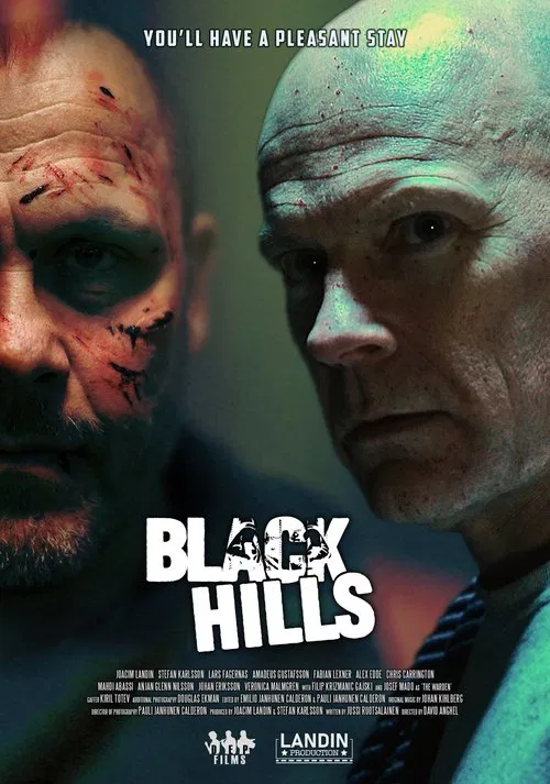 Black Hills movie poster
