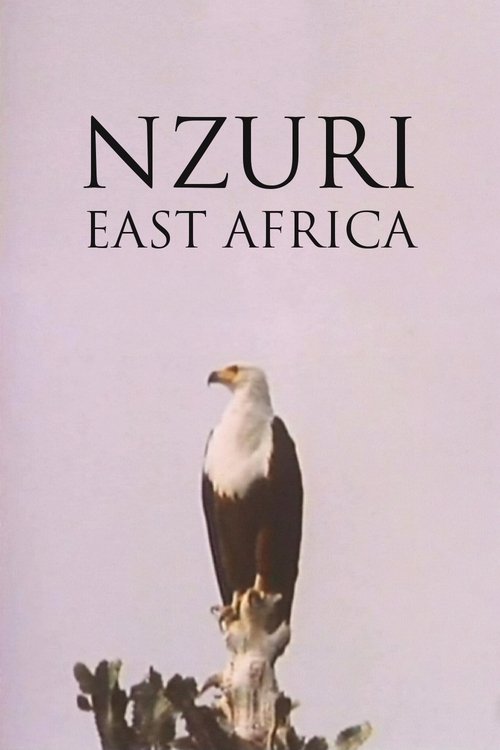Poster do filme Nzuri: East Africa