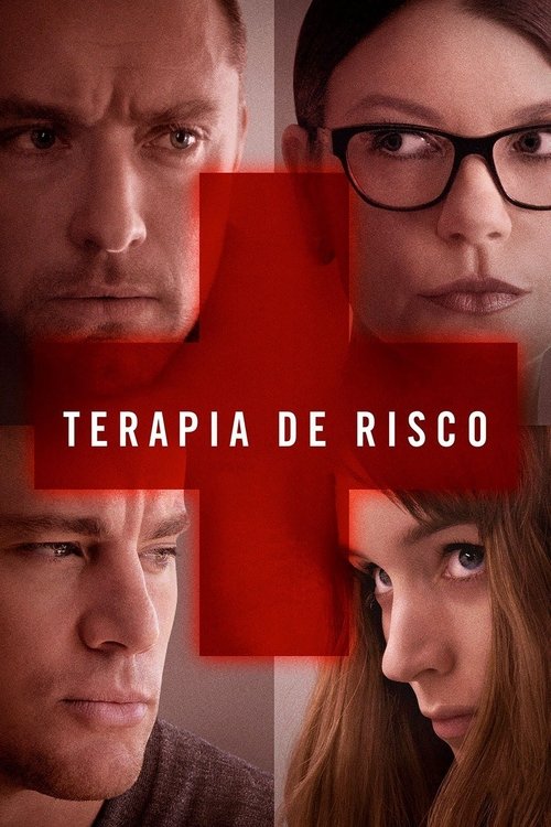 Poster do filme Terapia de Risco