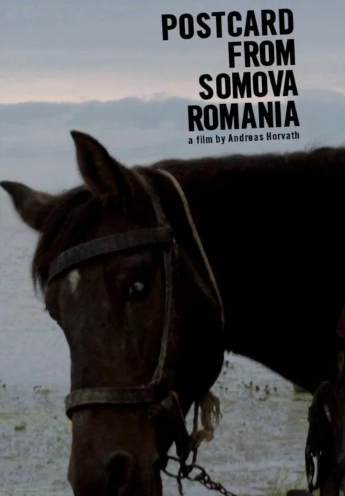 Postcard from Somova, Romania movie poster