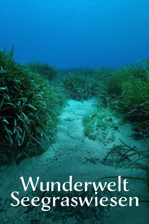 Wunderwelt Seegraswiesen Klimaretter, Kinderstube, Küstenschutz movie poster