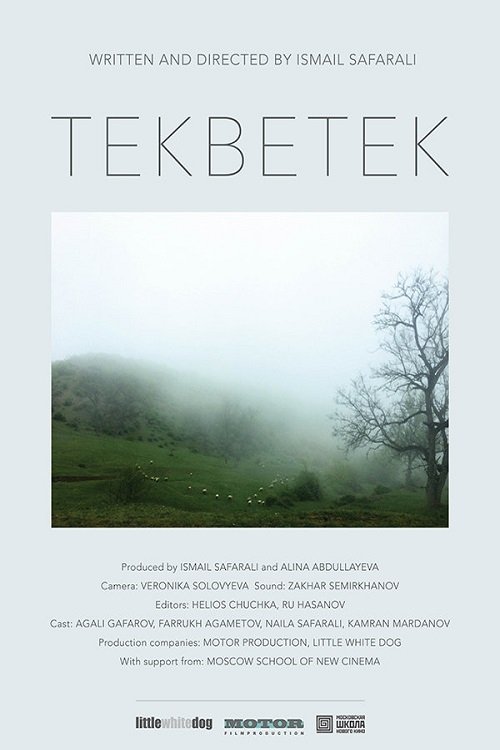 Tekbetek movie poster
