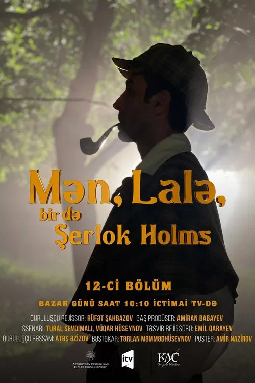 Me, Lala and Sherlock Holmes tv show poster
