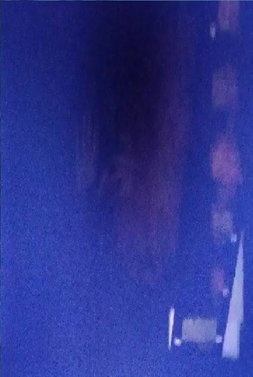 K.C.N. profile picture