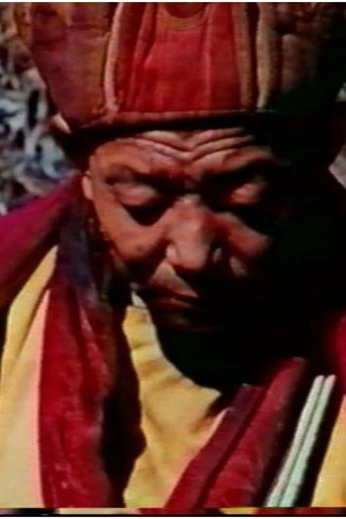 Sikkim, terre secrète movie poster