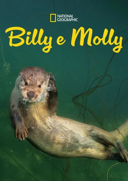Poster do filme Billy e Molly: Uma História de Amor Diferente