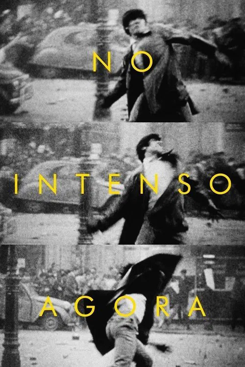 Poster do filme In the Intense Now