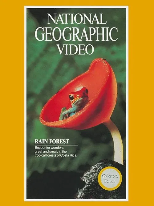 Rain Forest movie poster