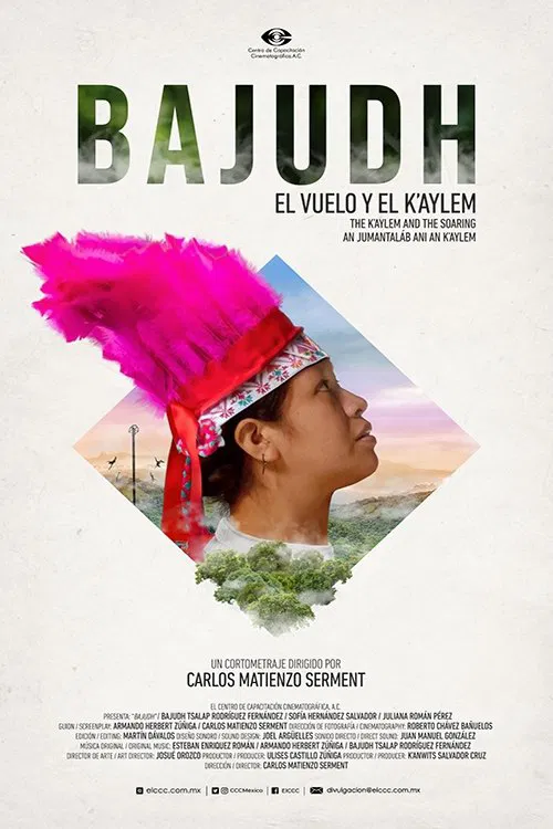 Bajudh movie poster
