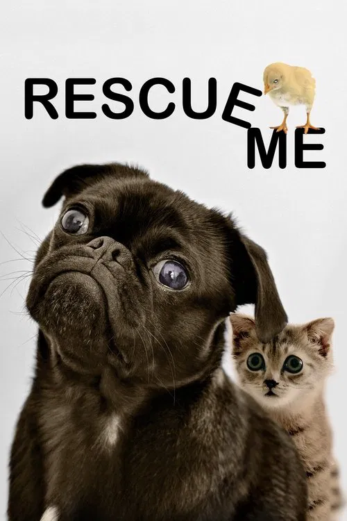 Rescue Me movie poster
