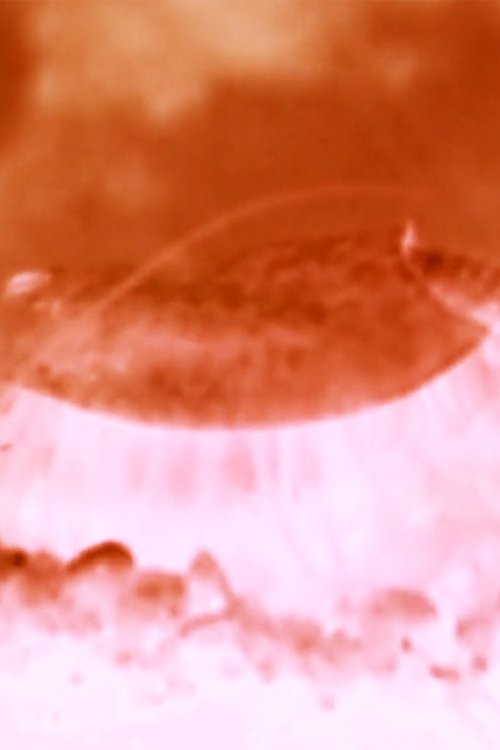 Poster do filme t.r.3.o.p.s.