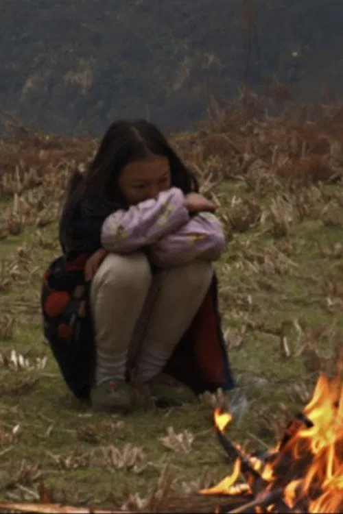 The Warmth Of Orange Peel movie poster