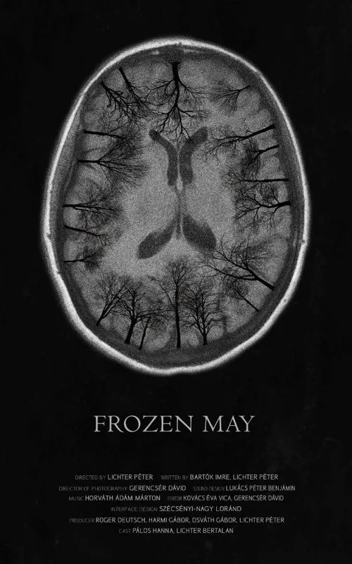 Poster do filme Frozen May