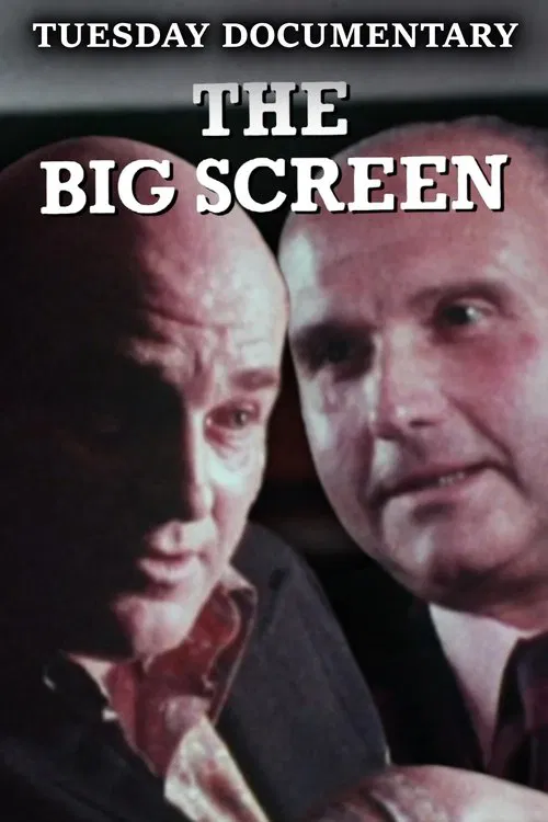 The Big Screen movie poster