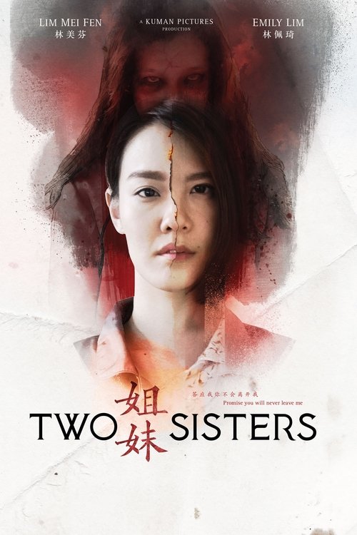 Two Sisters movie poster