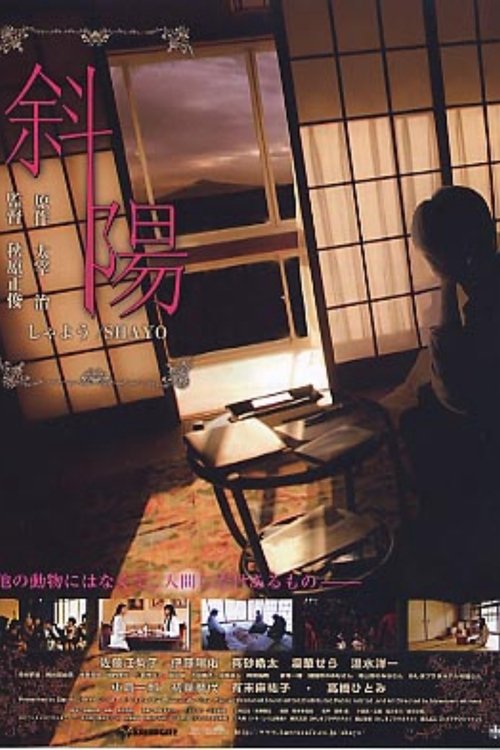 Shayô movie poster