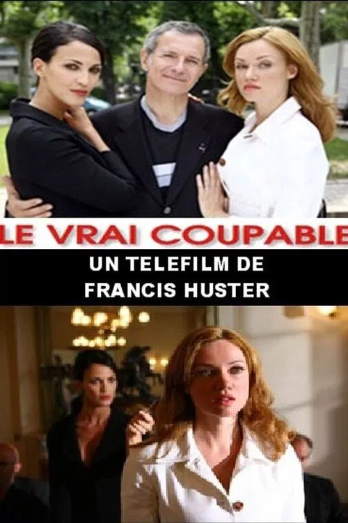 Le Vrai Coupable movie poster