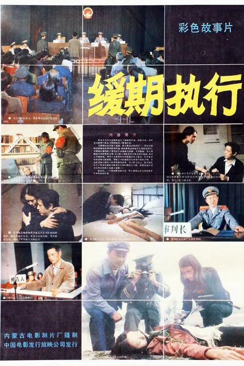 Poster do filme 缓期执行