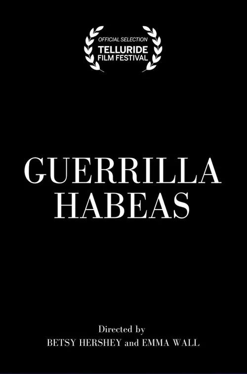 Poster do filme Guerrilla Habeas