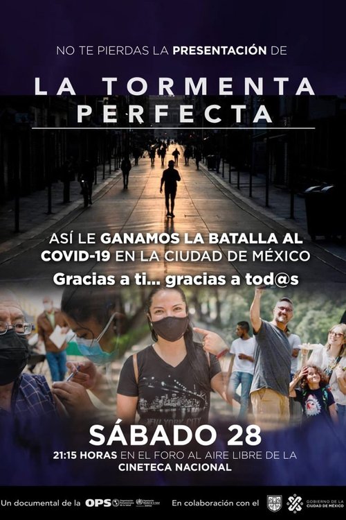 La tormenta perfecta movie poster