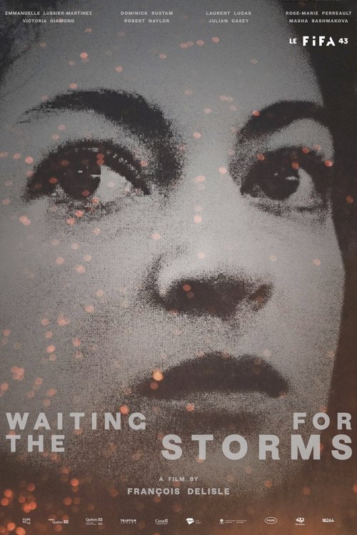 Waiting for the Storms movie poster