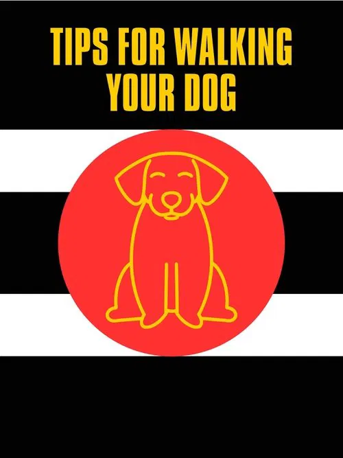 Poster do filme Tips For Walking Your Dog