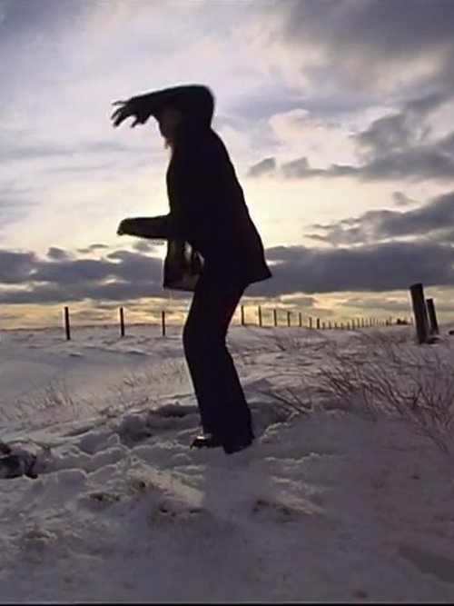 Poster do filme The Dance Project