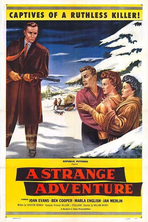 A Strange Adventure movie poster
