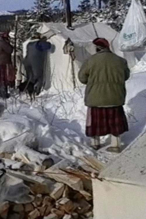 Innu aitun (connaissances traditionnelles innues) movie poster