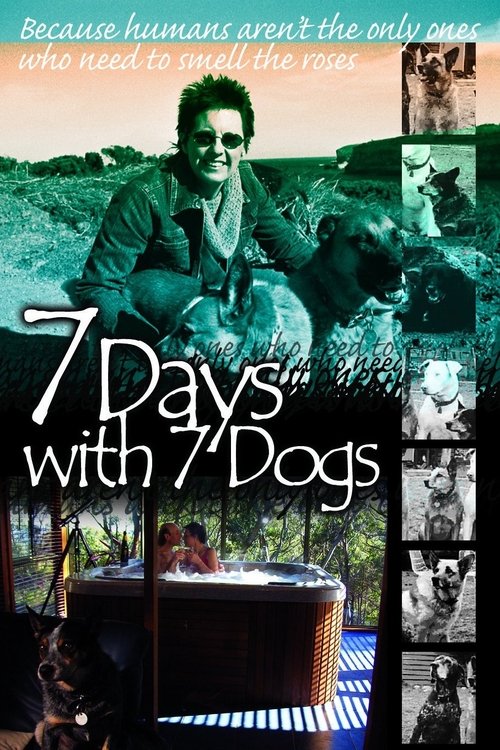 7 Days with 7 Dogs movie poster