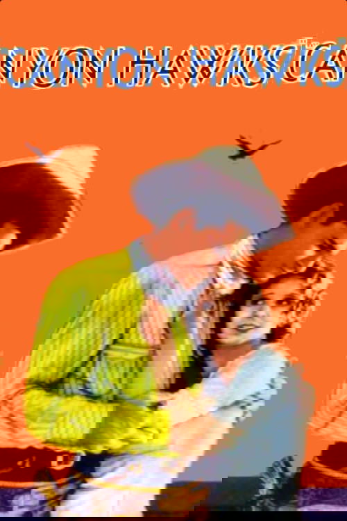 Canyon Hawks movie poster