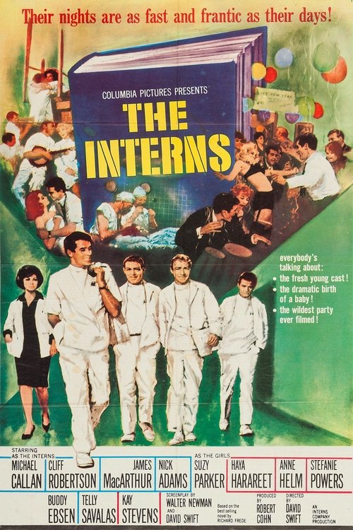 Poster do filme The Interns