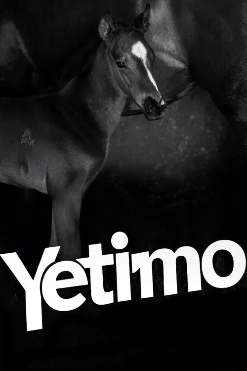 Yetimo movie poster