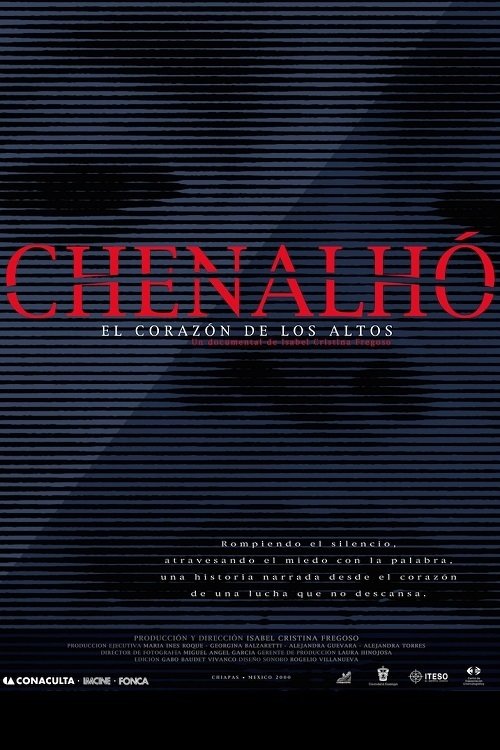 Poster do filme Chenalhó: en el corazón de los Altos