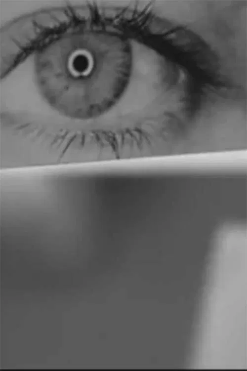 Retrato nº 2. Cuaderno de ensayos movie poster