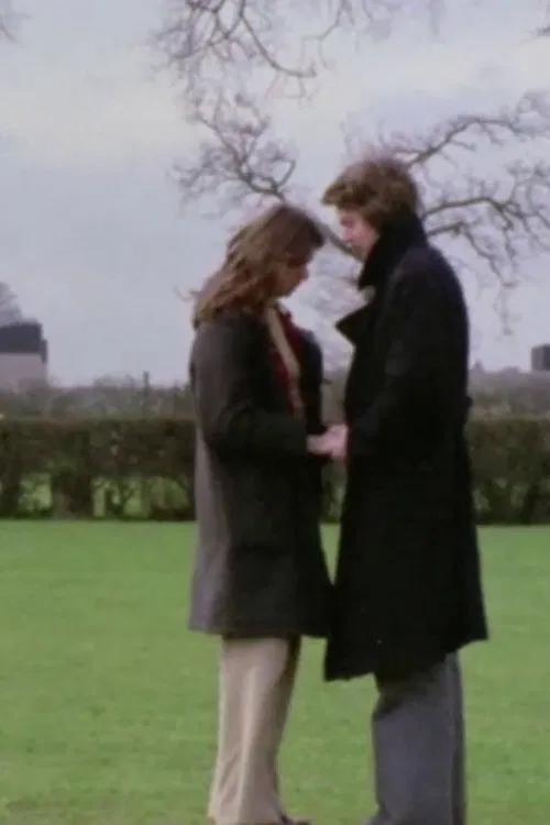 Pebbles in the Flood movie poster