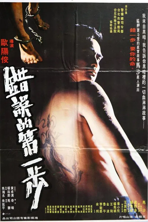 The First Error Step movie poster