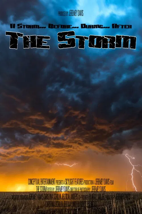 Poster do filme The Storm