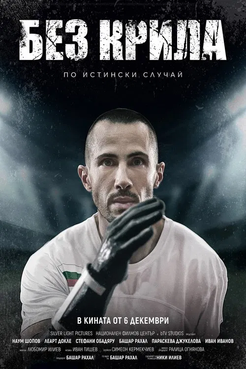 No Wings movie poster