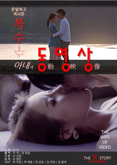 My Wife's Videos movie poster
