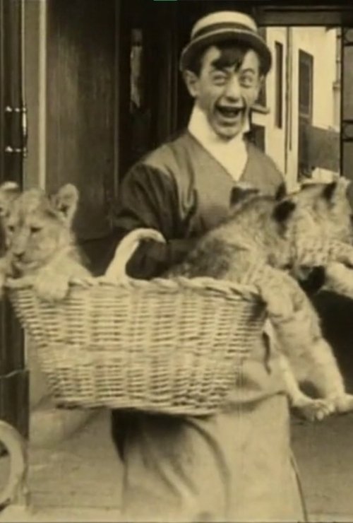 Polidor and the Cat movie poster