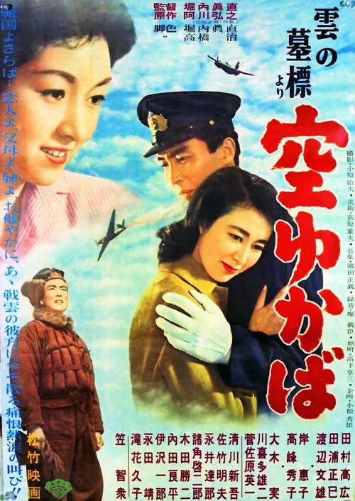 Flying in the Air movie poster