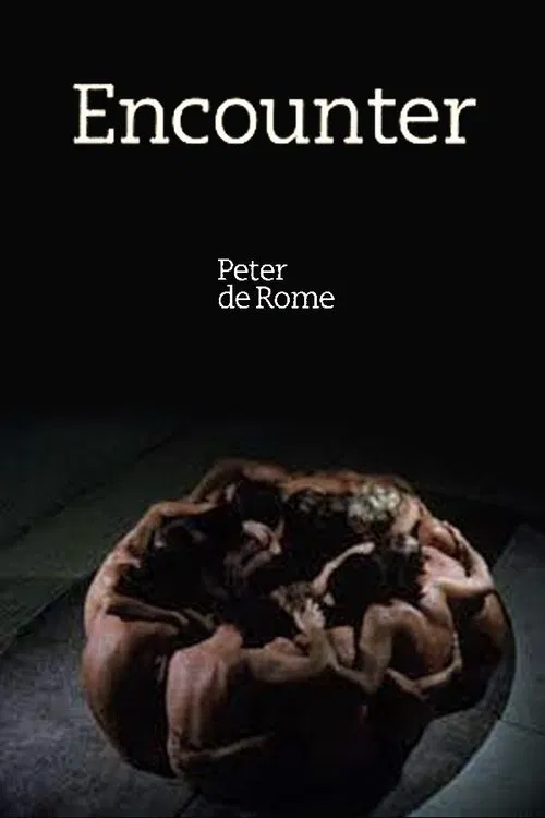 Encounter movie poster